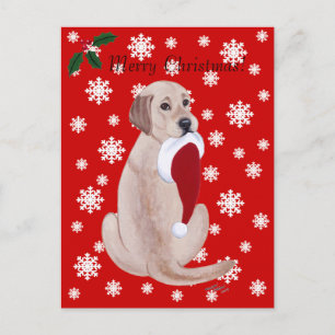 Yellow Labrador with Santa Hat Snowflake Holiday Postcard