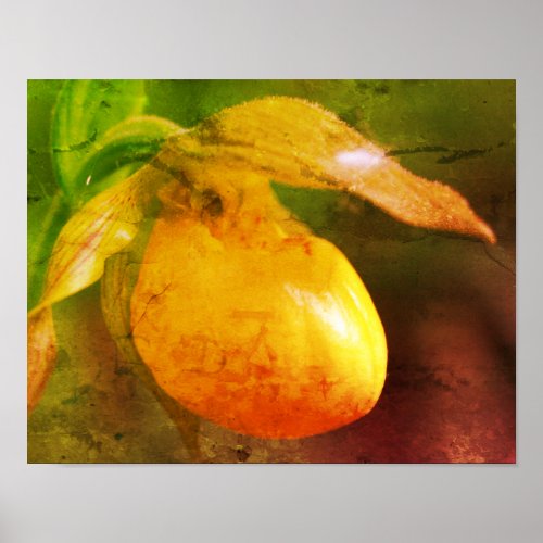 Yellow Lady Slipper Orchid Flower Abstract Grunge Poster