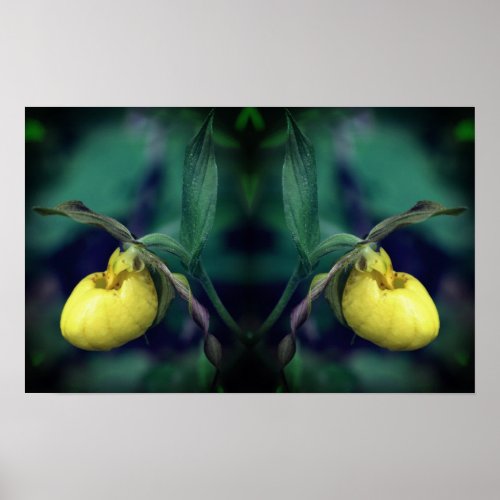 Yellow Lady Slipper Orchid Flower Mirror Abstract  Poster