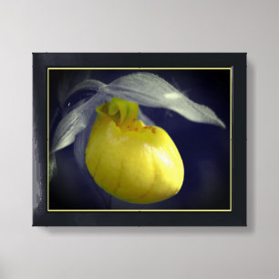 Yellow Lady Slipper Orchid Flower Partial Color Framed Art