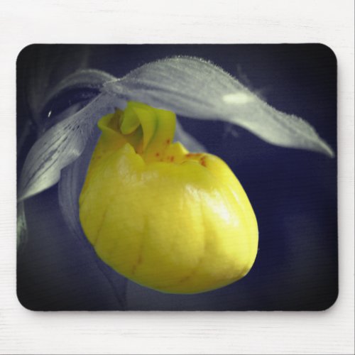 Yellow Lady Slipper Orchid Flower Partial Color Mouse Pad