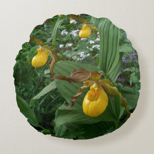 Yellow Lady's Slipper Orchid Flowers In Bloom Round Pillow (Front)