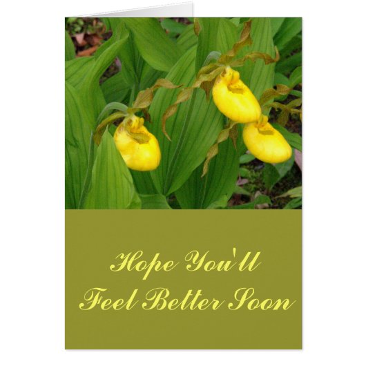 "YELLOW LADYSLIPPERS" /FLORAL PHOTOG (Front)