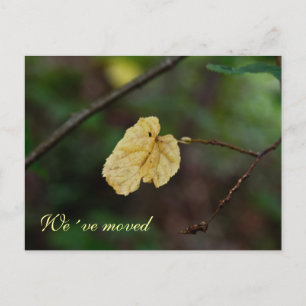 Yellow leaf we´ve moved postcard
