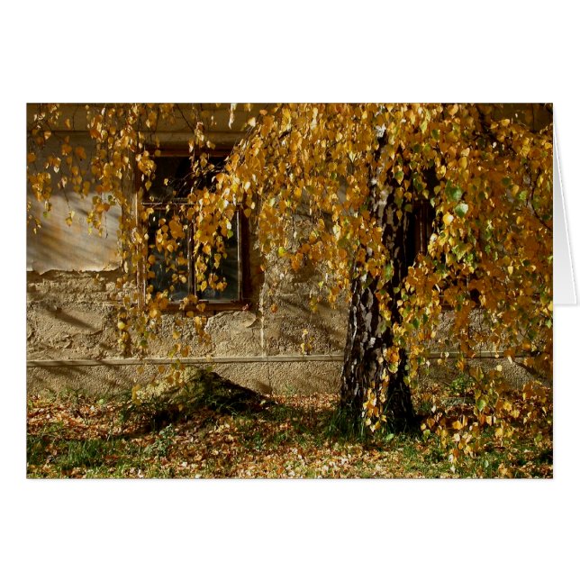 yellow leaves cards (Front Horizontal)