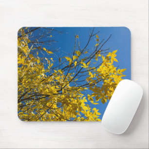 Yellow Leaves on Fall Ash Tree Nature Photography Mouse Pad