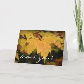 Yellow Leaves - Thank you! Thank You Card
