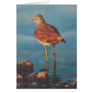 Yellow Legs Cards