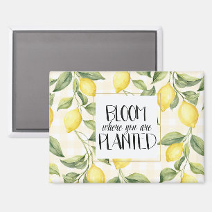 Yellow Lemons Bloom Where You Are Planted Magnet