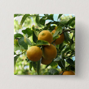 Yellow Lemons On The Tree Pinback Button