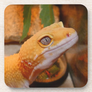 Yellow Leopard Gecko Beverage Coaster