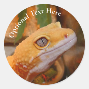 Yellow Leopard Gecko Classic Round Sticker