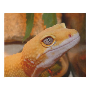 Yellow Leopard Gecko Lizard Faux Canvas Print