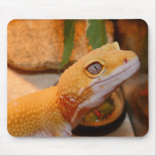 Yellow Leopard Gecko Mouse Pad