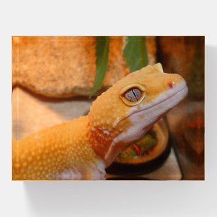 Yellow Leopard Gecko Paperweight