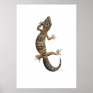 Yellow leopard gecko poster