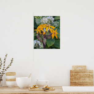 Yellow Leopard Plant Flowers and Hydrangea Floral Poster
