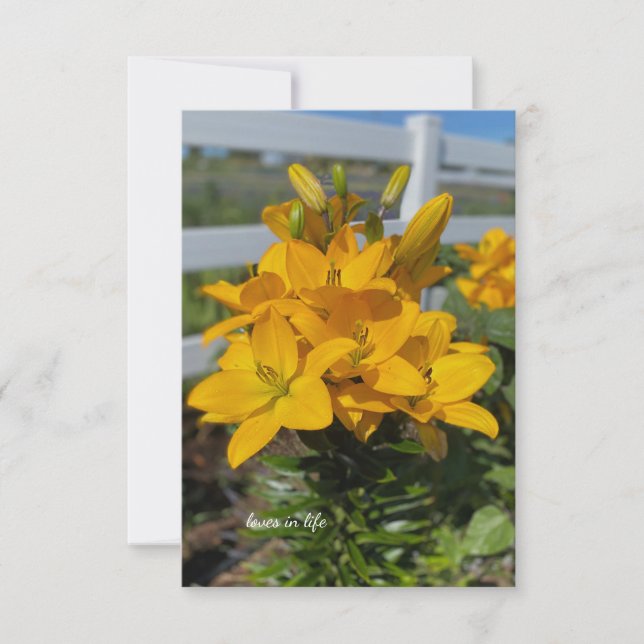 Yellow Lilies Note Card (Front)
