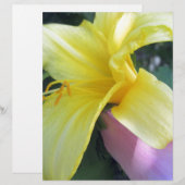 Yellow Lily (Front/Back)