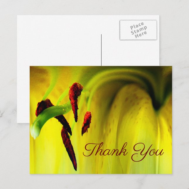 Yellow Lily Abstract Floral Thank You Postcard (Front/Back)
