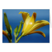 Yellow Lily Card (Front Horizontal)