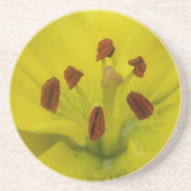 Yellow Lily Floral Coasters (Front)