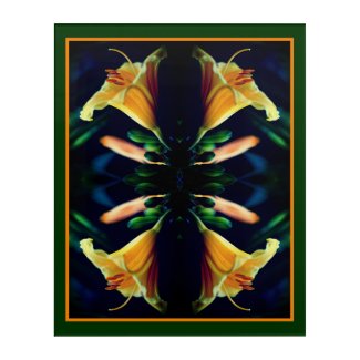 Yellow Lily Flower Abstract