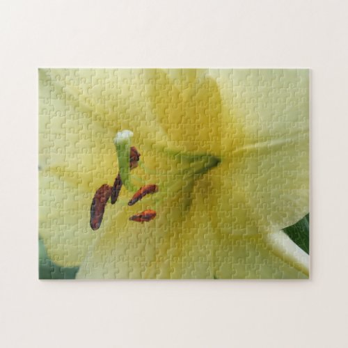 Yellow Lily Flower Close Up  Jigsaw Puzzle