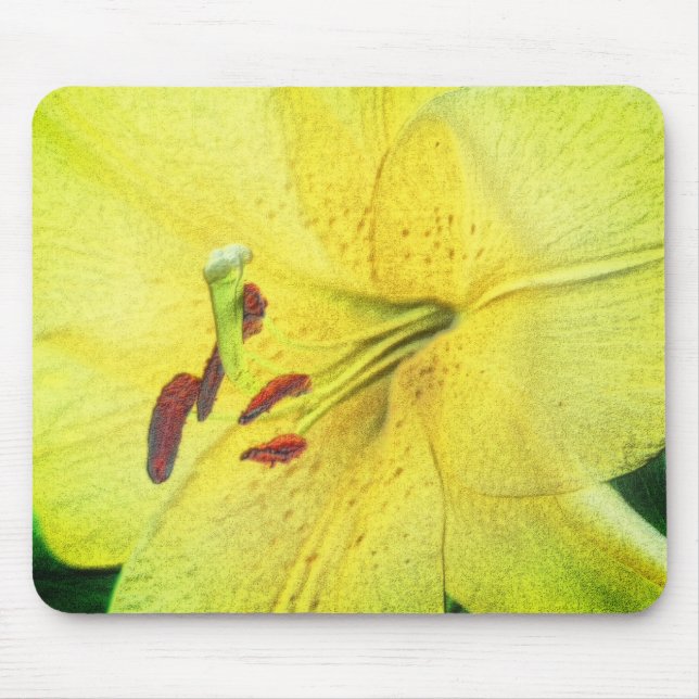 Yellow Lily Flower Pencil Art  Mouse Pad (Front)