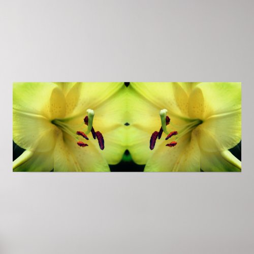 Yellow Lily Flower Petals Mirror Abstract Poster