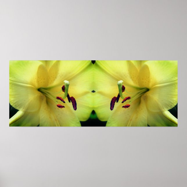 Yellow Lily Flower Petals Mirror Abstract Poster (Front)