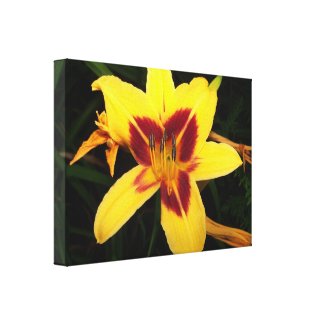 Yellow Lily Flower Wrapped Canvas Photo Print