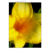 Yellow Lily Photograph (Front)