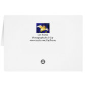 Yellow Lily, S Cyr (Back Horizontal)