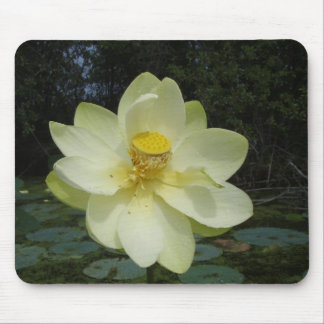 Yellow Lotus Flower Mouse Pad