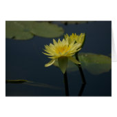 Yellow Lotus Waterlilies Card (Front Horizontal)