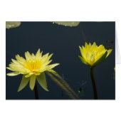 Yellow Lotus Waterlilies Card (Front Horizontal)
