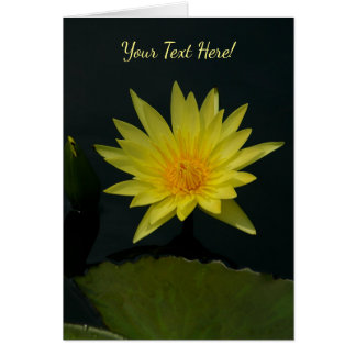 Yellow Lotus Waterlily