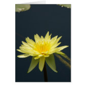 Yellow Lotus Waterlily Card (Front)