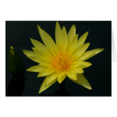 Yellow Lotus Waterlily Card (Front Horizontal)