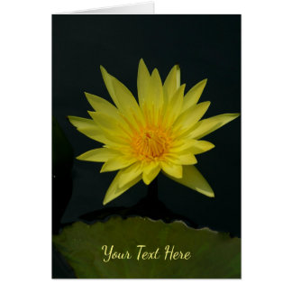 Yellow Lotus Waterlily Cards