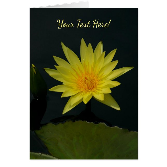 Yellow Lotus Waterlily Cards (Front)