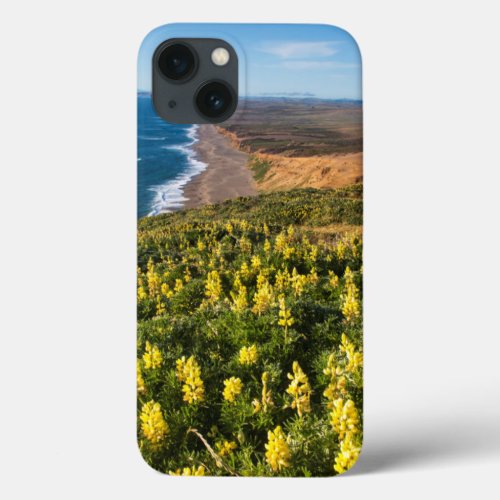 Yellow Lupine Above Point Reyes Beach At Point iPhone 13 Case