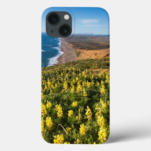 Yellow Lupine Above Point Reyes Beach At Point iPhone 13 Case