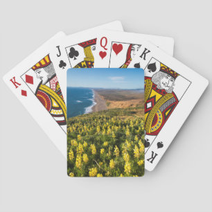Yellow Lupine Above Point Reyes Beach At Point Poker Cards
