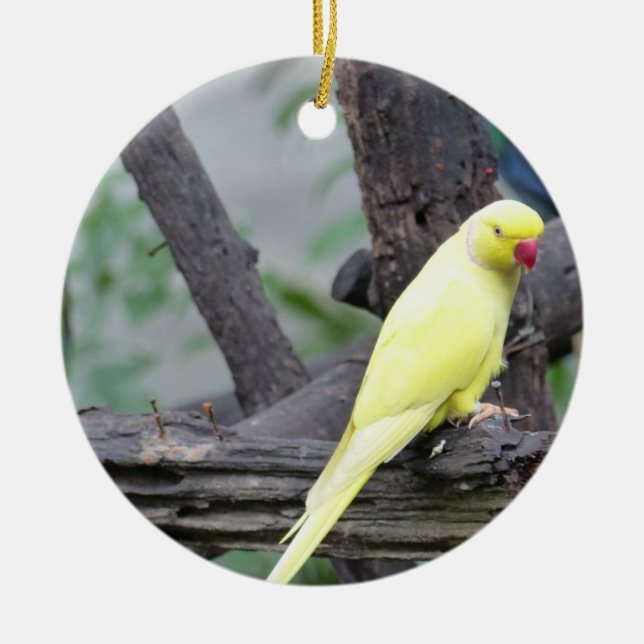 Yellow Lutino Ring Necked Parakeet in a tree Ceramic Ornament (Front)