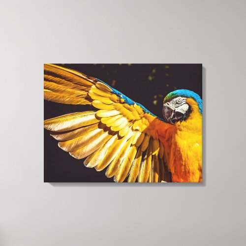 Yellow Macaw Parrot   Canvas Print