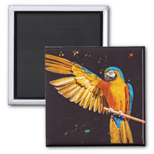 Yellow Macaw Parrot Magnet