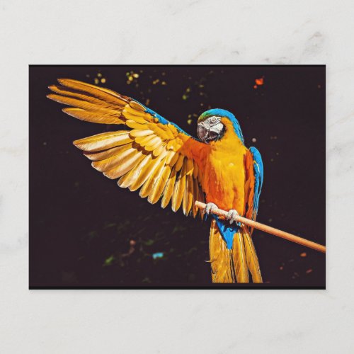 Yellow Macaw Parrot Magnet Postcard