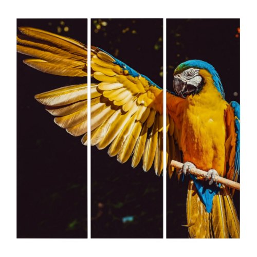 Yellow Macaw Parrot   Triptych